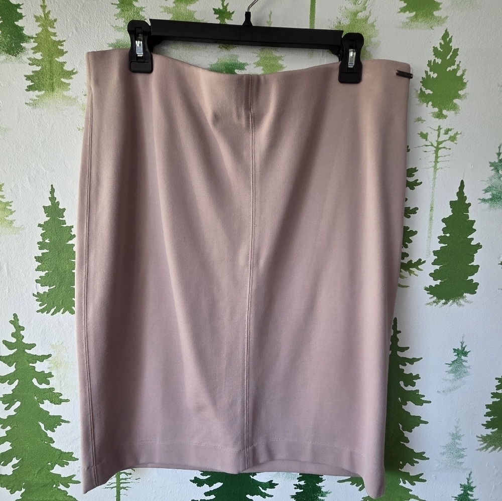 Elegant Pink Women's Skirt